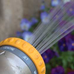 Wise Watering